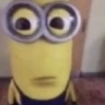minion stare