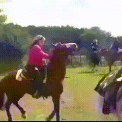 Horse Falls | (.gg/floptok)