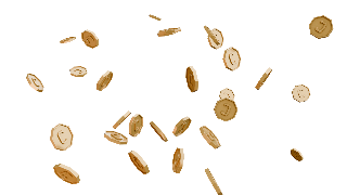 Raining Company Coins