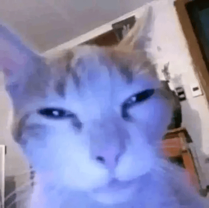 eu de madrugada lendo mensagen