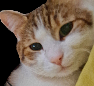 Leo smirk Discord sticker