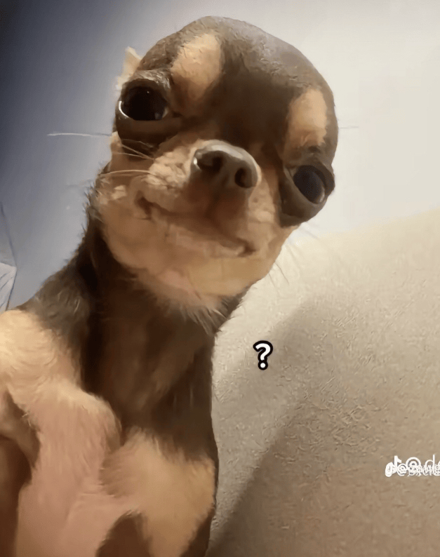 what Discord sticker