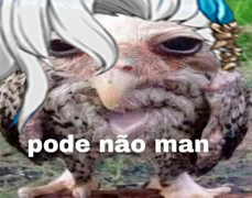 pode n Discord sticker