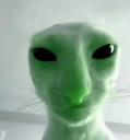 ufo cat Discord sticker