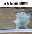 hi cat Discord sticker