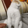 y ok? Discord sticker