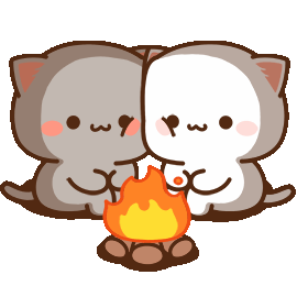Bonfire Cats