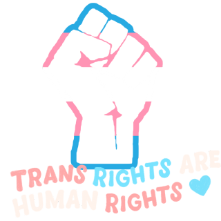 TransRights Discord sticker