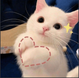 abrazo gatuno Discord sticker