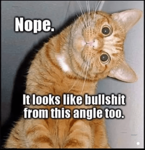 bullshit from this angle