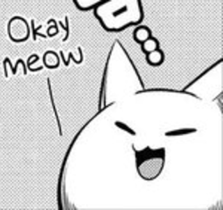 okay meow