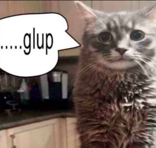 nervous gulp .gg/toms Discord sticker