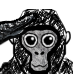 MonkeSalute