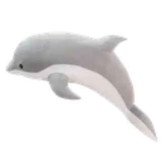 dolphin Discord sticker