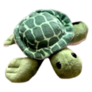 turtle Discord sticker