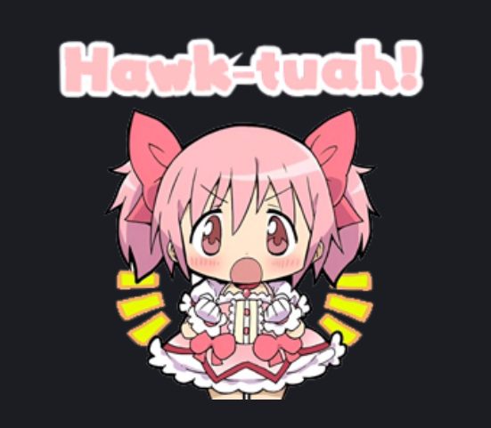 HawkTuah Discord sticker