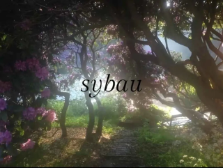 sybau