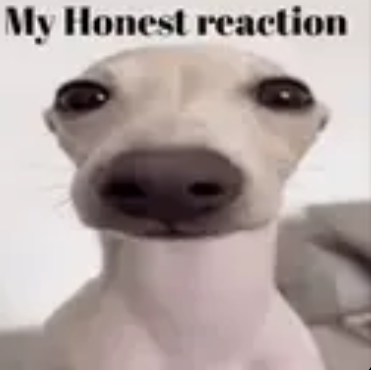 my honest reaction Discord sticker