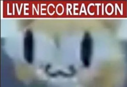 live neco reaction Discord sticker