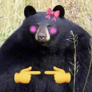 PookieBear Discord sticker