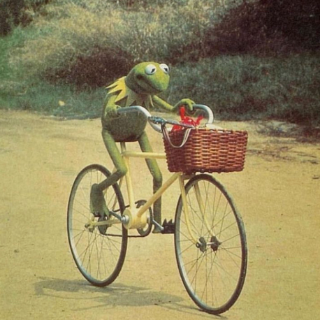 Bike | Kermit Discord sticker