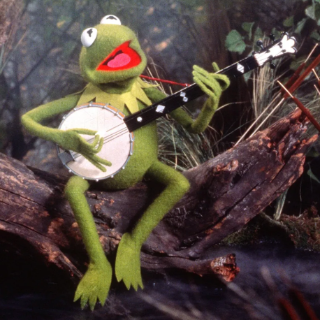 Banjo | Kermit Discord sticker