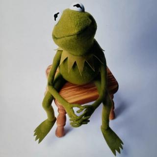 Pose | Kermit Discord sticker