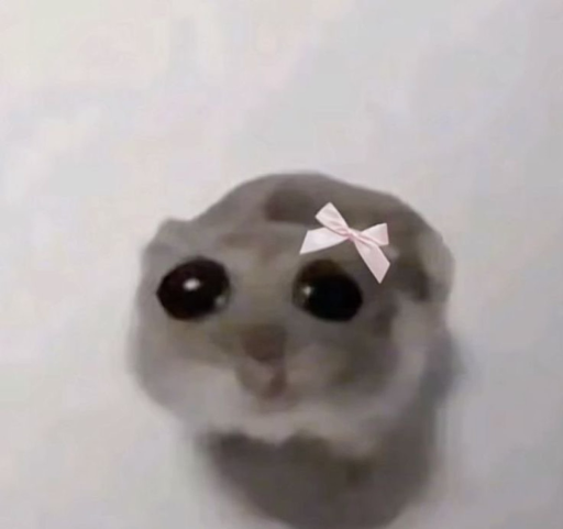 GO_sadHamster Discord sticker
