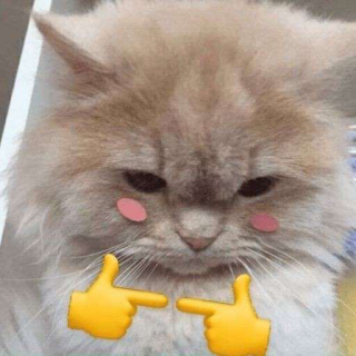 GO_you'reSoCute Discord sticker