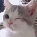 GO_catWink Discord sticker