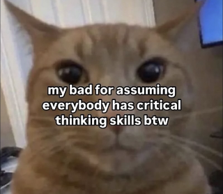 critical thinking /echat