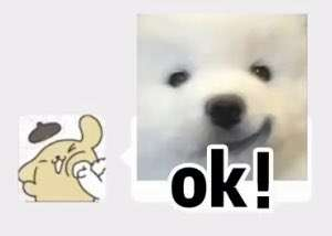 punch dog ok Discord sticker