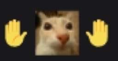 RT_Touch Discord sticker
