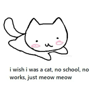 just meow meow .gg/sugoi
