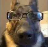 nerdykutta| gg/pakistan