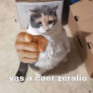 Vas a caer lco   .gg/lco Discord sticker