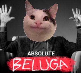 ABSOLUTE BELUGA