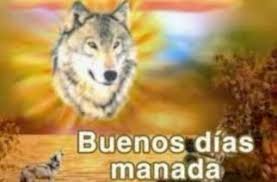 buenas_manada Discord sticker
