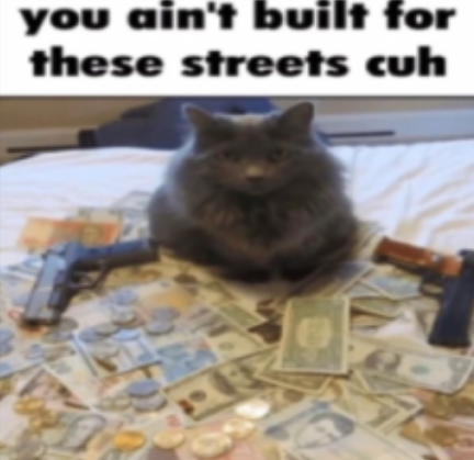not for these streets Discord sticker