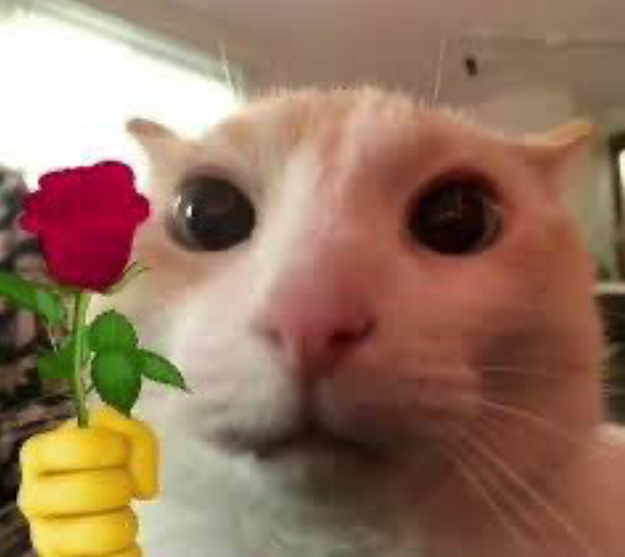 cat flower Discord sticker