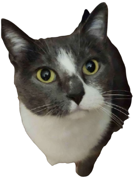 luna 1 Discord sticker