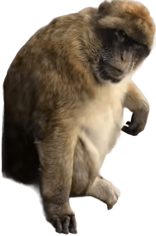 what? Discord sticker