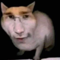 When the yart hit Discord sticker