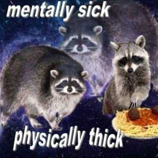 Raccon  Discord sticker