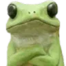 GO_frogHmpf Discord sticker