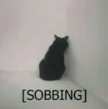 Sobbing Cat Discord sticker