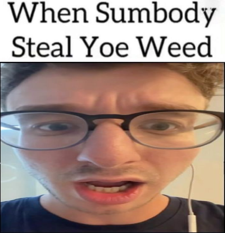 whensomebodystealsyourweed Discord sticker