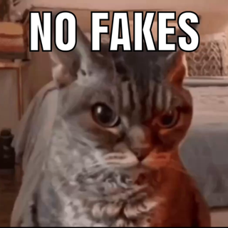 NO FAKES
