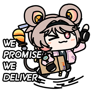 WE PROMISE WE DELIVER
