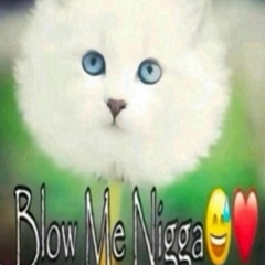 Blow Me Nigga gg/reflect